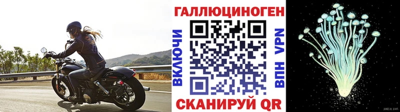 Псилоцибиновые грибы Psilocybe  мега ONION  Багратионовск 