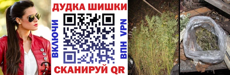 Шишки марихуана White Widow  как найти закладки  нарко площадка официальный сайт  Багратионовск 